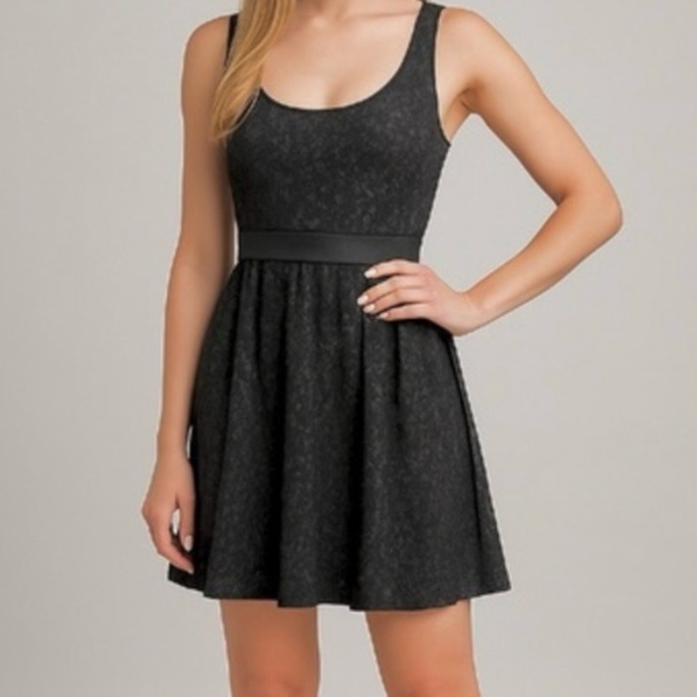 Express Black Snake Print Metallic Knit Fit & Flare Dress S Cocktail